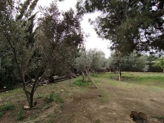 Casa rural en venta en Argamasilla de Alba