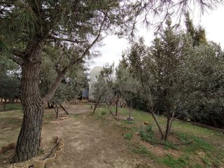 Casa rural en venta en Argamasilla de Alba