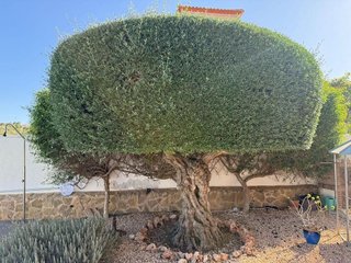 Chalet en venta en San Miguel de Salinas