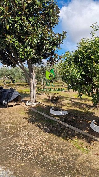 Chalet en venta en Don Benito