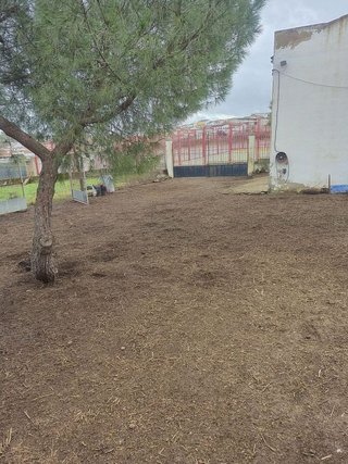 Terreno en venta en Azuaga