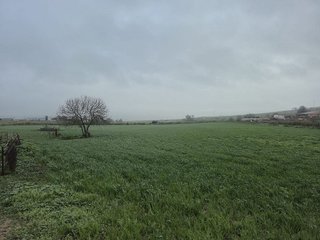 Terreno en venta en Azuaga
