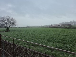 Terreno en venta en Azuaga