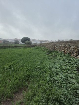 Terreno en venta en Azuaga