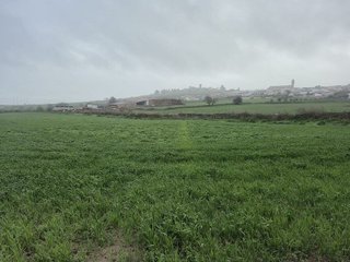 Terreno en venta en Azuaga