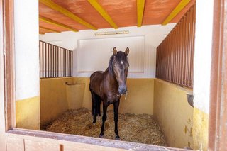 Cortijo en venta en Morón de la Frontera