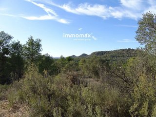 Terreno en venta en Caseres