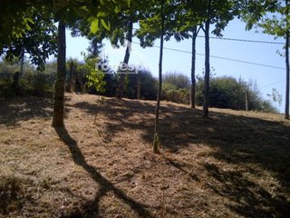 Terreno en venta en Cañiza (A)