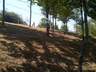 Terreno en venta en Cañiza (A)