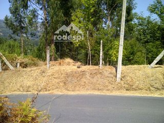 Terreno en venta en Cañiza (A)