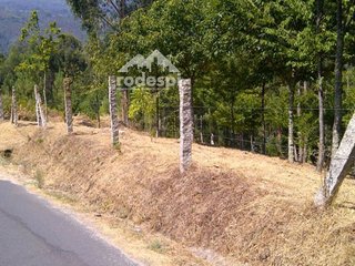 Terreno en venta en Cañiza (A)