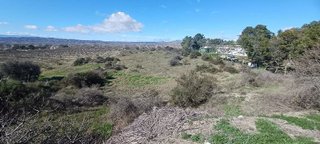 Nave industrial en venta en Huércal-Overa