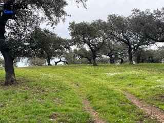 Terreno en venta en Alconchel