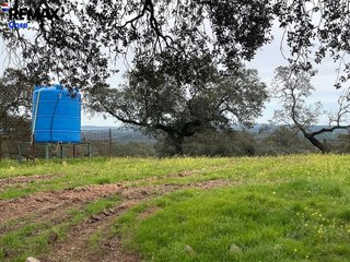 Terreno en venta en Alconchel