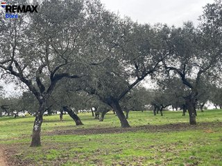 Terreno en venta en Alconchel