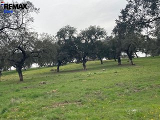Terreno en venta en Alconchel