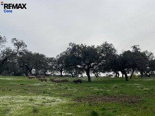 Terreno en venta en Alconchel