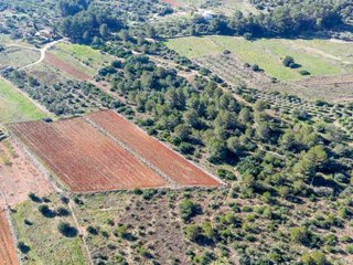 Terreno en venta en Jalón/Xaló