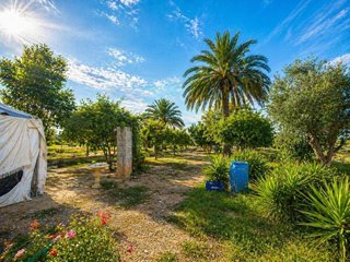 Terreno en venta en Catral
