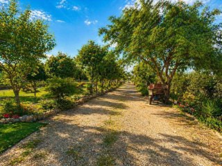 Terreno en venta en Catral