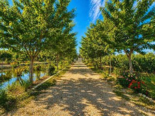 Terreno en venta en Catral