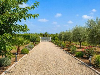 Terreno en venta en Catral