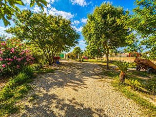 Terreno en venta en Catral