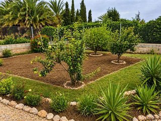 Terreno en venta en Catral