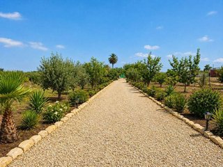 Terreno en venta en Catral