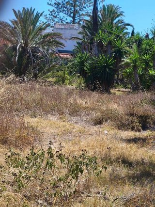 Terreno en venta en Playa Flamenca - Punta Prima en Orihuela