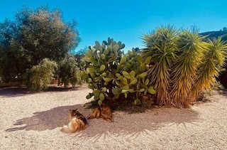 Casa rural en venta en Abanilla