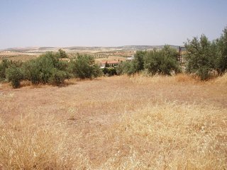 Terreno en venta en Aljomahima - Ermita en Gabias (Las)