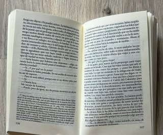 Libro El cuarto de atrás