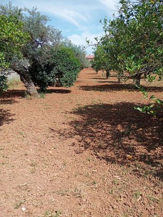 Terreno en venta en La Hacienda - Nueva Andalucía en Dos Hermanas