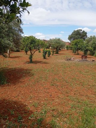Terreno en venta en La Hacienda - Nueva Andalucía en Dos Hermanas