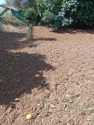 Terreno en venta en La Hacienda - Nueva Andalucía en Dos Hermanas