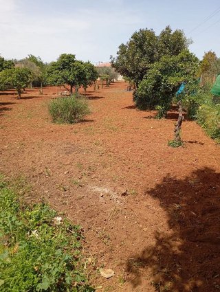 Terreno en venta en La Hacienda - Nueva Andalucía en Dos Hermanas