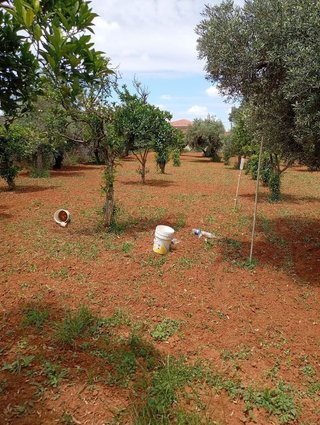 Terreno en venta en La Hacienda - Nueva Andalucía en Dos Hermanas