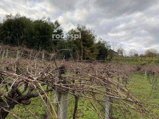 Terreno en venta en Cañiza (A)
