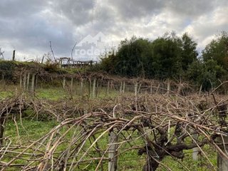 Terreno en venta en Cañiza (A)