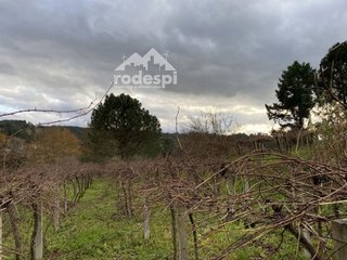 Terreno en venta en Cañiza (A)