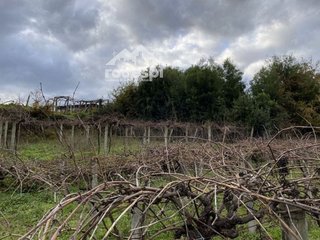 Terreno en venta en Cañiza (A)