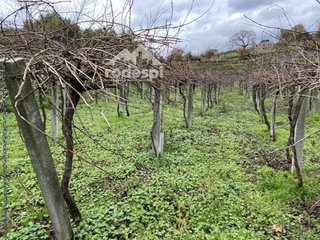 Terreno en venta en Cañiza (A)