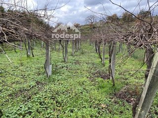 Terreno en venta en Cañiza (A)