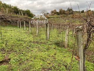 Terreno en venta en Cañiza (A)