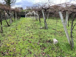 Terreno en venta en Cañiza (A)