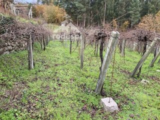 Terreno en venta en Cañiza (A)