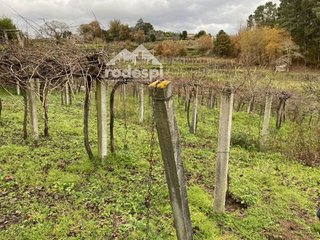 Terreno en venta en Cañiza (A)