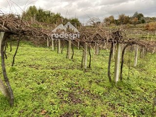 Terreno en venta en Cañiza (A)