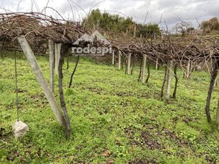 Terreno en venta en Cañiza (A)